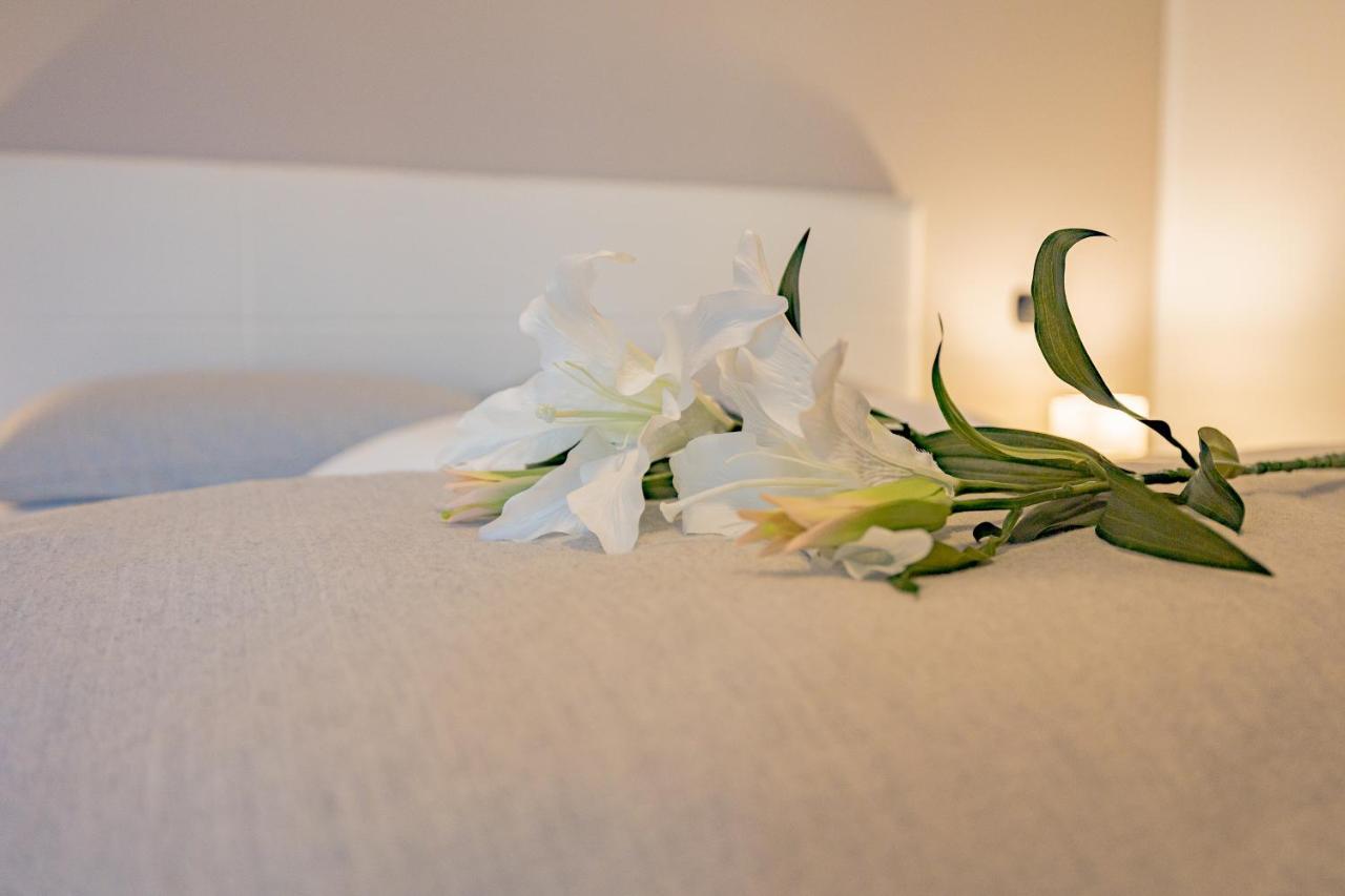 Milan Forum Camelia Guesthouse Assago Exteriér fotografie